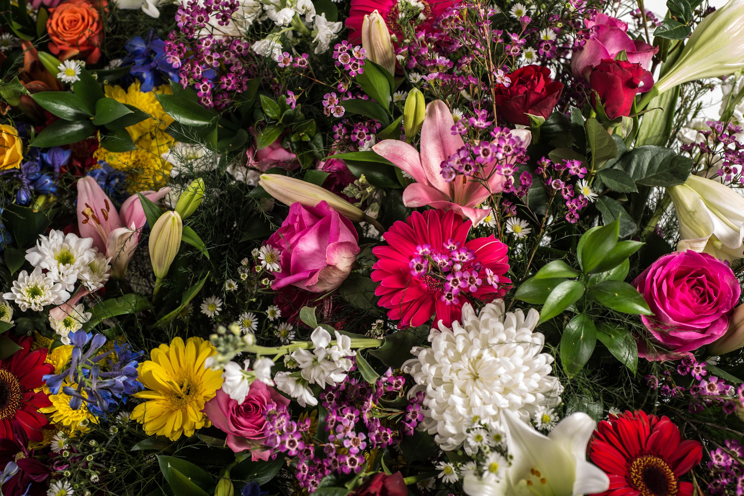 afbeelding bloemendienst (1)