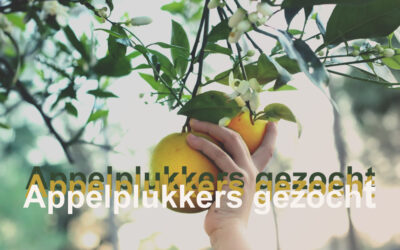 Appelplukkers gezocht