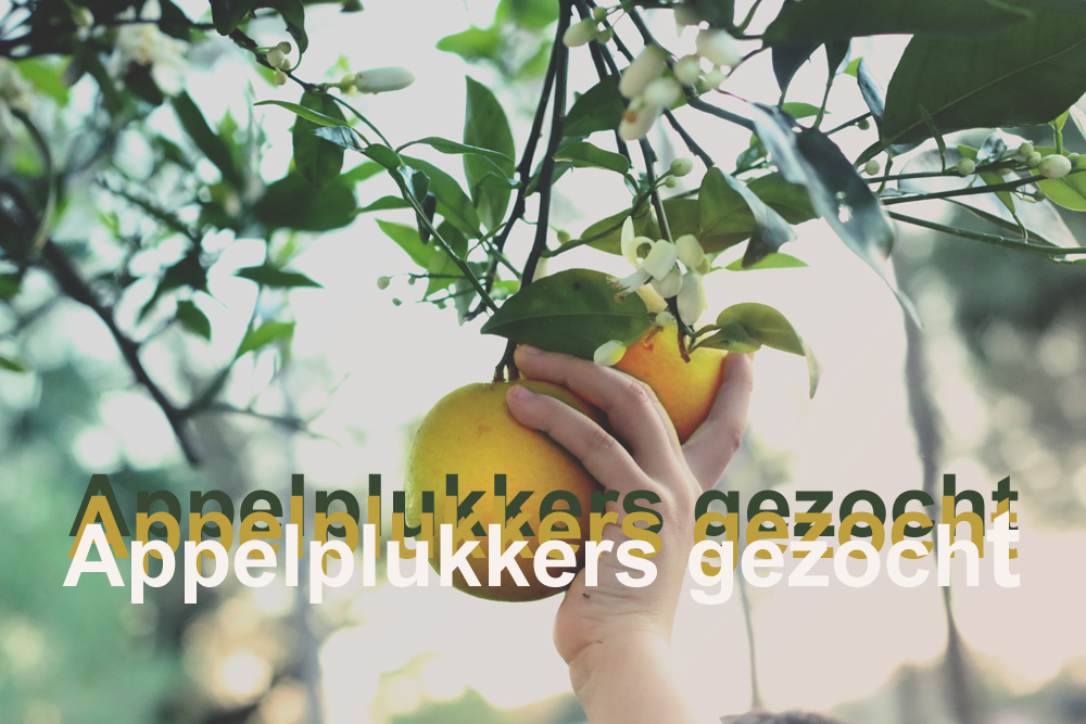 Appelplukkers  gezocht